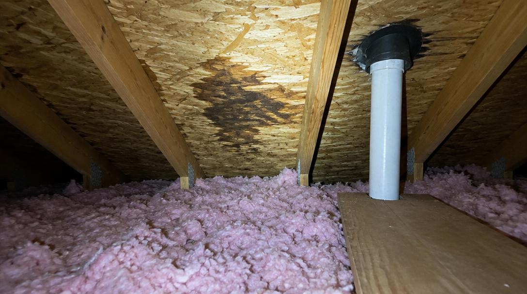 Flying Cow Roofing safe attic moisture check in Collin County