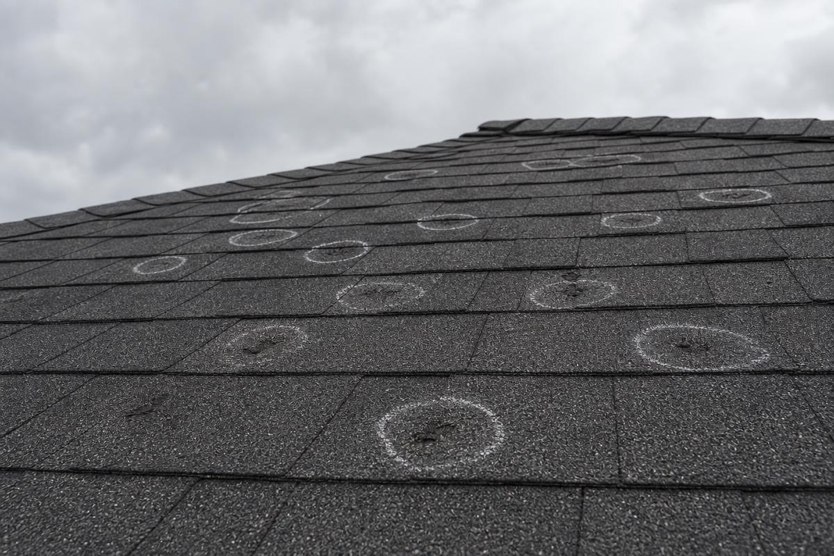 Hail damaged asphalt shingles with chalk circles marking impact bruises on a North Texas roof